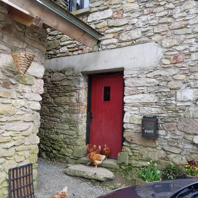 Kingsford Renovated Old Cottage Wexford Exterior photo